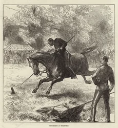 Illustrated London News -lehden etukansi, 12. kesäkuuta 1875