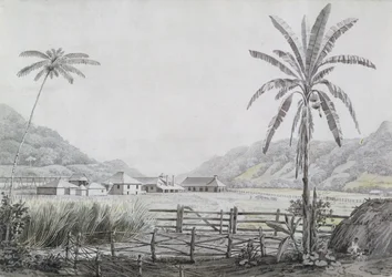 Halse Hall, Jamaika, n. 1780 (wc ja grafiitti paperilla)