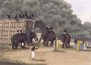 Hindoo Elephant Trap, pubi. Kirjailija: Edward Orme