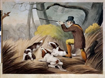 Nokan metsästys Englannissa. Akvarellikaiverrus 1800-luvulta. Gien, metsästysmuseo.