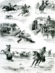 Elämä Manitobassa, 1877