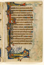 MS 1-2005, fol. 183r: Mies ratsastaa taaksepäin, marginaalinen koristelu Macclesfield Psalterista, Use of Sarum, East Anglia, n. 1330