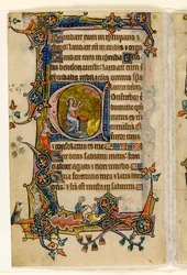 MS 1-2005, fol. 207v: Isaiah Praying, historiallinen alkukirja Macclesfield Psalterista, Use of Sarum, East Anglia, n. 1330