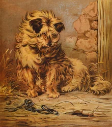 Mestari Jacko (värilitra)