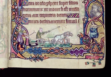 Ms 1-2005, ff.76v-77r: David and the fool, historiallinen alkukirja Macclesfield Psalterista, Use of Sarum, East Anglia, n. 1330 (vellum) (yksityiskohta numerosta 276994)
