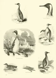 Huonekalut ja erilaiset esineet 1100- ja 1300-luvuilta