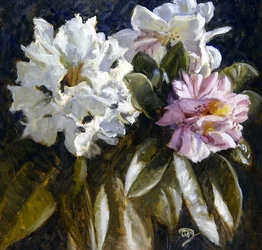 Rhododendron (öljy paperille)