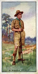 Rover Scout, 1929