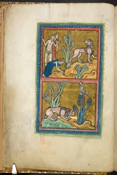 Royal 12 F.XIII, f.5v Yläosa: kolme miestä, joista yksi kumartaa leijonalle; alla: leijona kyyristyi puun juurella, kukko istumassa.  Bestiarysta (ff. 3-141), Lapidarysta (ff. 141v-149)  1200-luvun toinen neljännes
