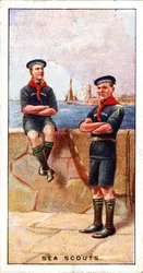 Meripartiolaiset, 1929