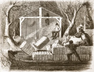 Cottin-paalien ampuminen höyrylaivan Magnolian keulaan, kuvitus The Illustrated London Newsista, 1861