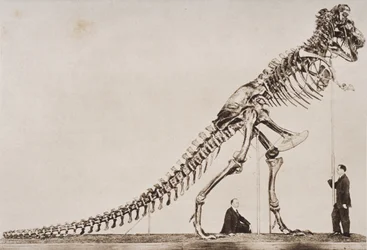 Tyrannosaurus Rexin luuranko Amerikan luonnonhistoriallisessa museossa, H.G. Wellsin vuonna 1920 julkaisemasta "The Outline of History" -teoksesta, osa I (syväpaino).