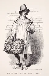Lintujen pesien katumyyjä, kuvitus London Laborista ja London Poorista Henry Mayhew, pubi. 1862