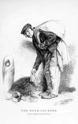 Bone-Grubber
