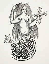 The Wonder of Wonders, kuvitus John Ashtonin kirjasta Chap-books of the Eightenth Century, pubi. 1882