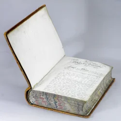 Waterloo-mitalirulla, n. 1815 (kynä ja muste paperille nahkasidoksessa)