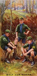 Wolf Cub Sixers, 1929