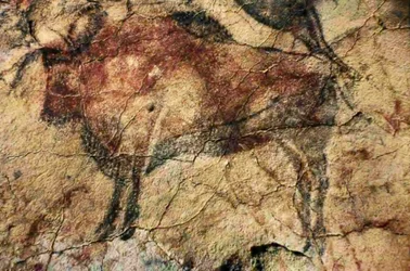 Biisonit. Luolamaalaus Altamirasta, Santander, Espanja (maalaus).
