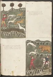 Koko sivu: teksti ja pienoiskuvat: "Carne le lepore" - jäniksen ja ketun metsästys: "Carne de orso" - karhunmetsästys (pienoiskuva).