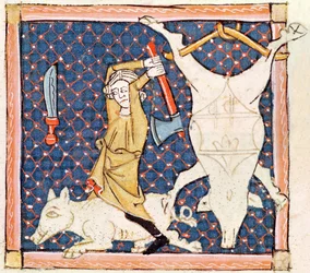 Fol.59v Joulukuu: Sikojen tappaminen (pergamentti)