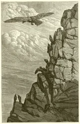 Kotka ja varis