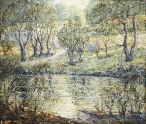 Polku joelle