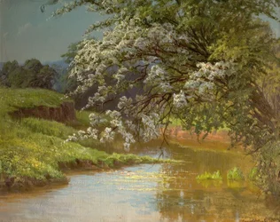 May Blossom, 1910