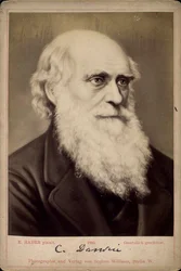 Charles Darwin, brittiläinen luonnontieteilijä, 1860-1870