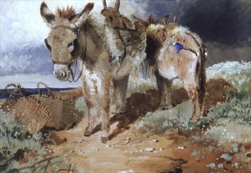 Aasit, 1855