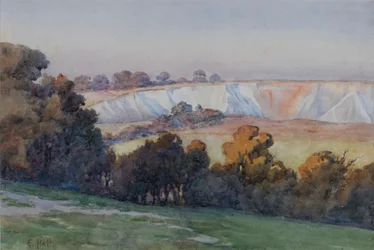 Coulsdon Quarry Farthing Downsista (wc paperilla)