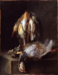Kuolleet linnut