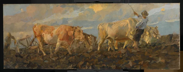 Härän kyntö, 1911 (öljy pellavalle)