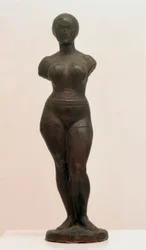 Seisova uimari