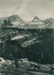 Näkymä Brenta-ryhmästä alppilaitumella, Madonna di Campiglio, Dolomiitit, Italia, 1927