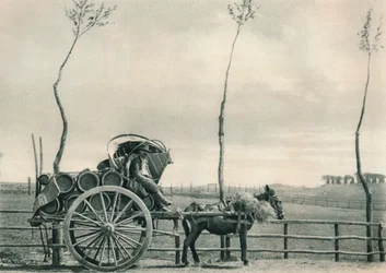 Viininkuljettaja Campagnassa, Roomassa, Italiassa, 1927