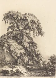 Kataja, 1840.