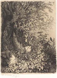 La bardane au saule (takainen pajun kanssa)