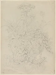 Kasvitutkimus, 1857.
