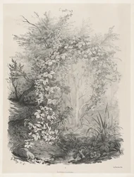 Kasveja ja muratteja virran varrella, 18481849.