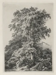 Luonnon mukaan piirrettyjä ja kaiverrettuja tutkimuksia: The Beach, Fontainbleau..., 1840.