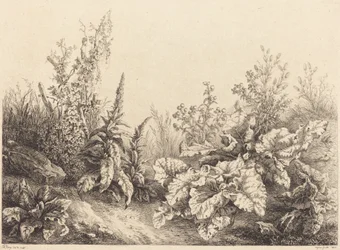 Tutkimus takiaisesta, 1840.