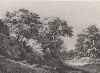 The Edge of the Woods, lähellä Rambouilletia, 1860.
