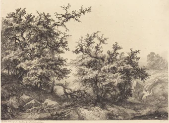 Piikkipensaat, 1840.
