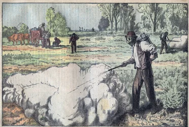 Mulottien (Apodemus) tuhoaminen tukahduttavalla kaasulla Aamunkoitteessa - kaiverrus Damblans - le-pelerin vuodelta 1923