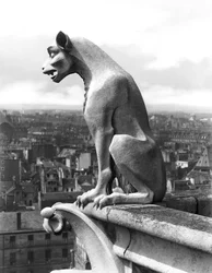 Gargoyle Grande Galerien länsijulkisivun kaiteet, kopio 1100-luvun alkuperäisestä (kivi) (m/v kuva)
