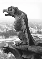 Gargoyle Grande Galerien länsijulkisivun kaiteet, kopio 1100-luvun alkuperäisestä (kivi) (m/v kuva)