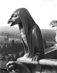 Gargoyle Grande Galerien kaiteesta, kopio 1100-luvun alkuperäisestä (kivi) (m/v kuva)