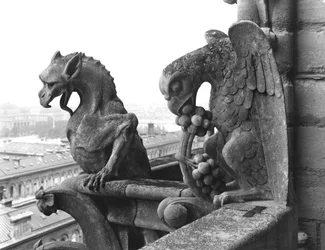 Gargoyles Grande Galerien länsijulkisivun kaiteesta, kopio 1100-luvun alkuperäisestä (kivi) (m/v kuva)