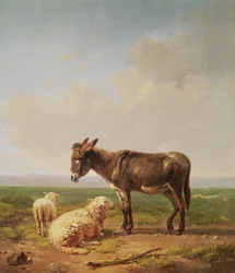 Aasi ja lammas, 1849