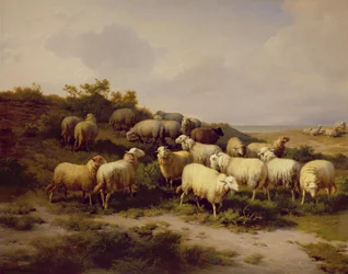 Lampaita rannikolla, 1878
